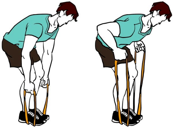 Entraînement du dos à la maison : Rowing avec elastique