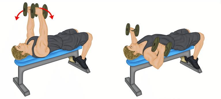 Les écartés avec haltères