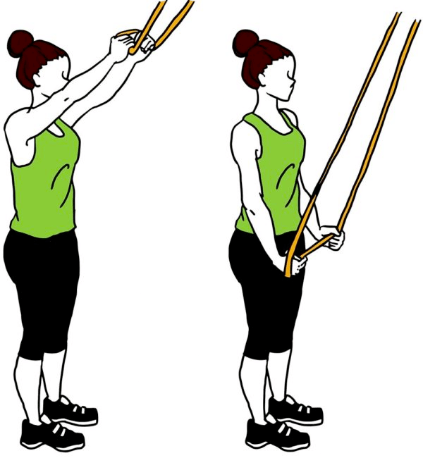 Tirage de bras TENDUS à la poulie (Pushdown debout)