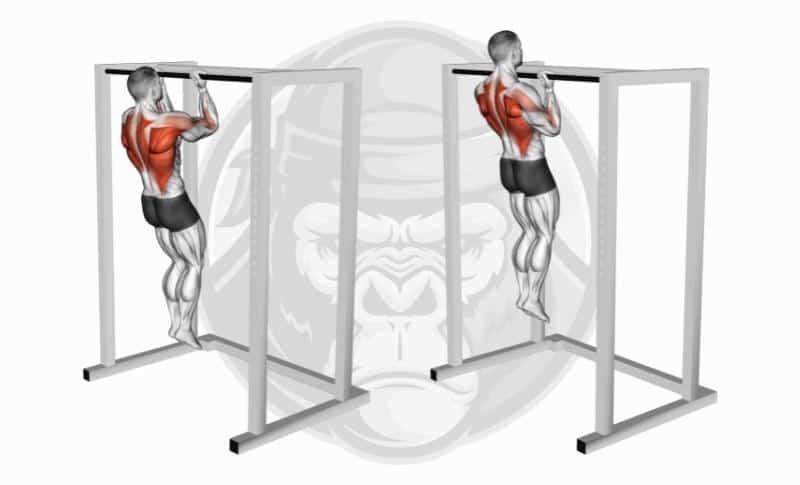 Meilleurs exercices pour les biceps à tête longue - Chin-Ups