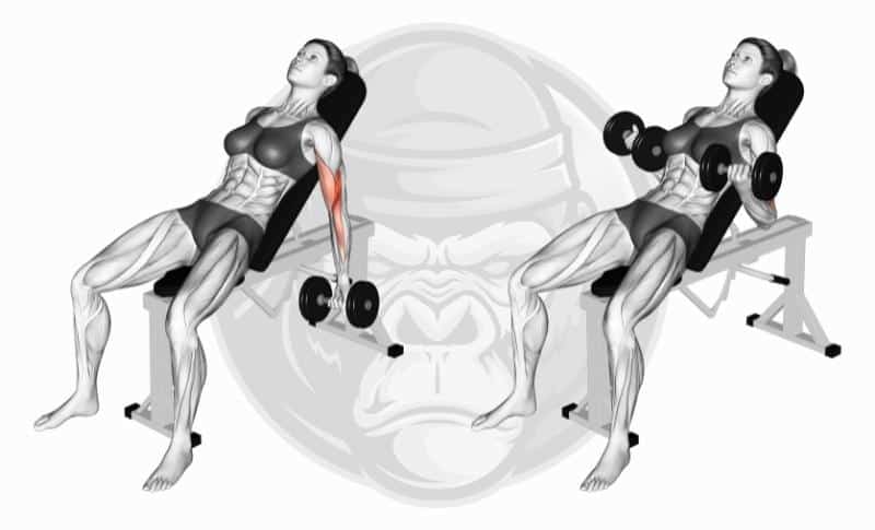 Meilleurs exercices pour les biceps à tête longue - Curls avec haltères inclinés
