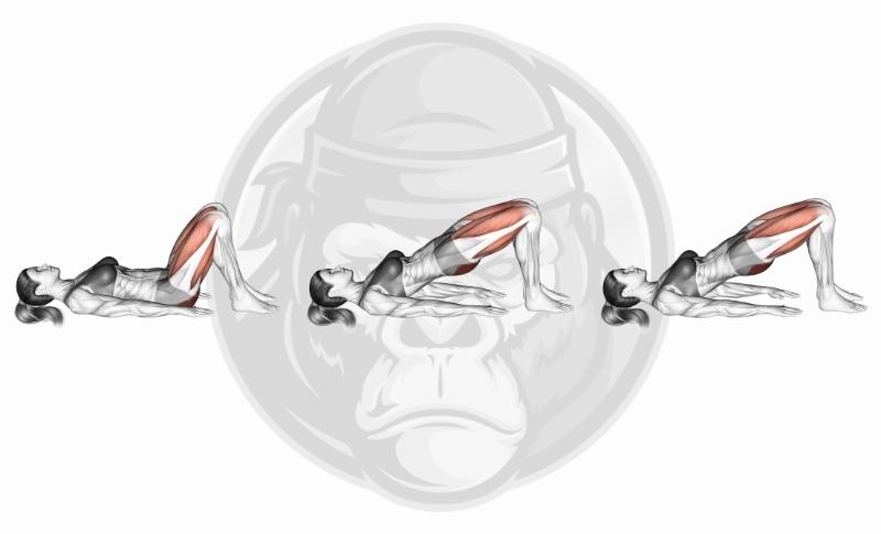 Meilleurs exercices pour les jambes au poids de corps - Ponts fessiers