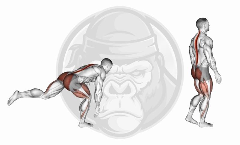 Meilleurs exercices pour les jambes au poids de corps - Deadlifts à une jambe