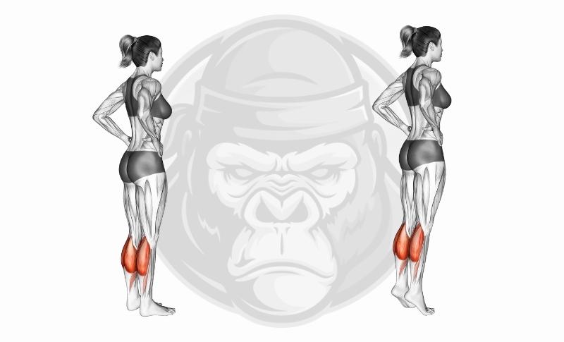 Meilleurs exercices pour les jambes au poids du corps - Relevés de mollets