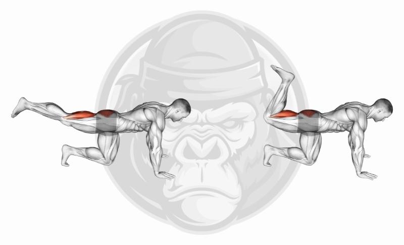 Meilleurs exercices pour les jambes au poids de corps - Extension des hanches en quadrupédie