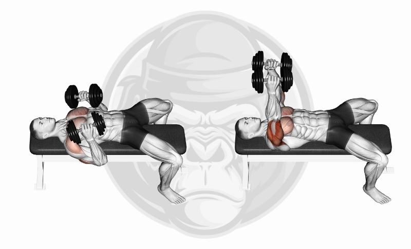 Meilleurs exercices pour le triceps avec tête médiane - Presses à triceps avec haltères et prise inversée