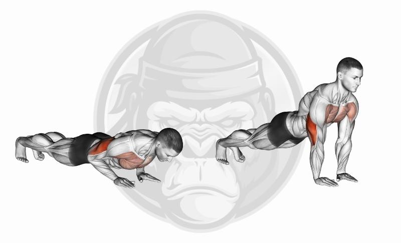 Meilleurs exercices pour triceps avec tête longue - Pompes avec prise serrée