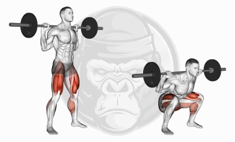 Meilleurs exercices avec haltères - Back Squats
