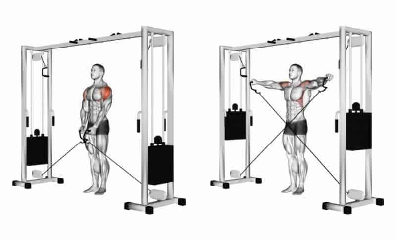 Meilleurs exercices pour les deltas latéraux - Relevés latéraux avec câble