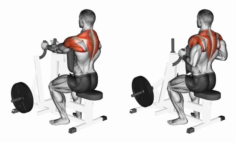 Meilleurs exercices pour le haut du dos - Flexion assise