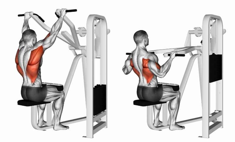 Meilleurs exercices pour le haut du dos - Lat Pulldown