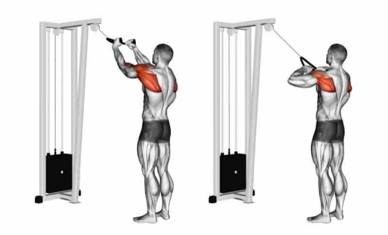 Meilleurs exercices pour le haut du dos - Tractions faciales