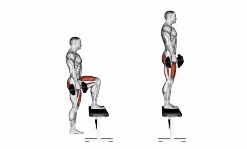 Meilleurs exercices pour les quadriceps - Step-Ups
