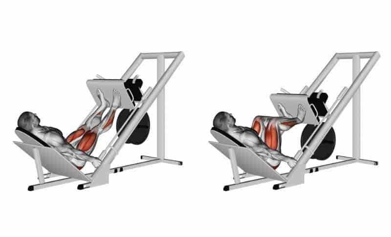 Meilleurs exercices pour le bas du corps - Leg Press