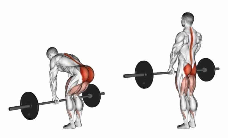 Meilleurs exercices pour le bas du corps - Deadlifts roumains