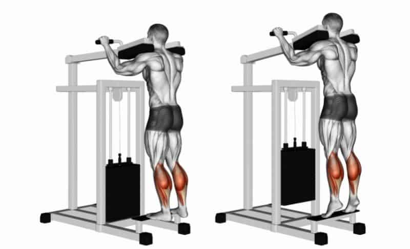 Meilleurs exercices pour le bas du corps - Mollets