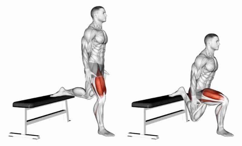 Meilleurs exercices pour le bas du corps - Squats fendus bulgares