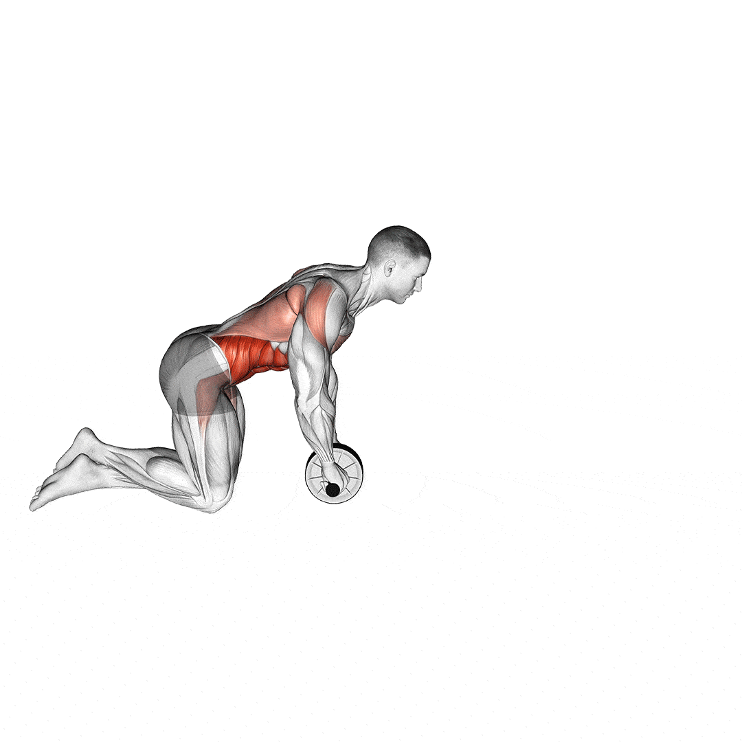 Meilleurs exercices pour les abdominaux supérieurs - Enroulements pour les abdominaux