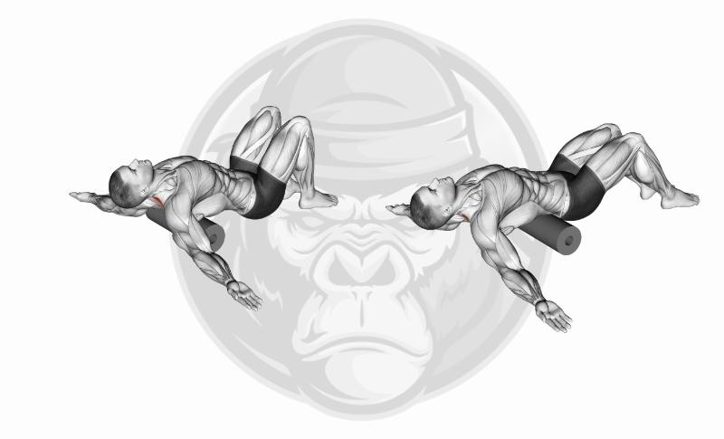 Meilleurs exercices avec le rouleau en mousse - Dos
