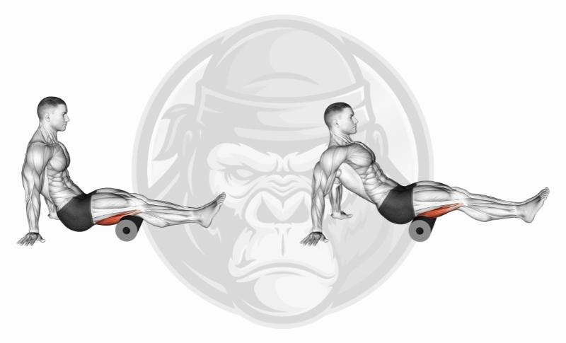 Meilleurs exercices avec le rouleau en mousse - Ischio-jambiers