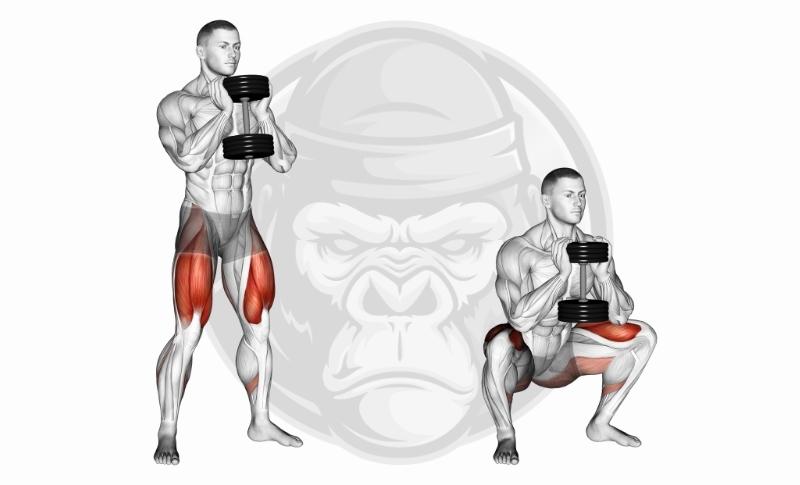 Meilleurs exercices avec haltères - Goblet Squats