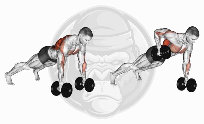 Meilleurs exercices pour haltères - Flexion des haltères