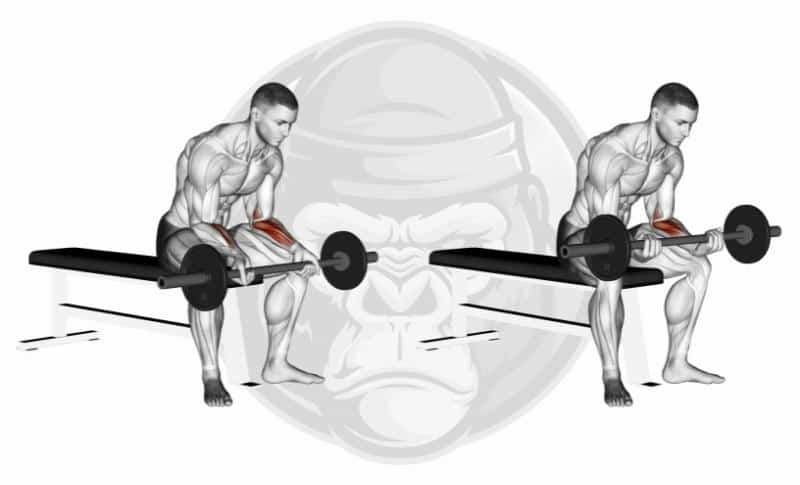 Meilleurs exercices de préhension - Flexion des poignets