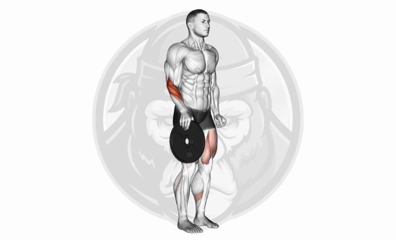 Meilleurs exercices de préhension - Pinces à plaques
