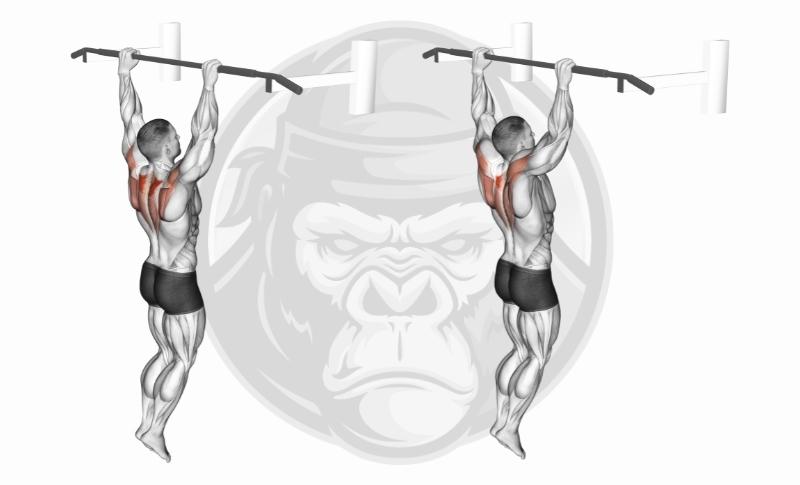 Meilleurs exercices de prise de main - Dead Hangs