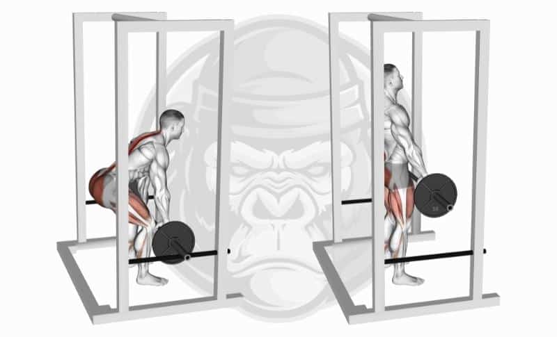 Meilleurs exercices de préhension - Rack Pulls