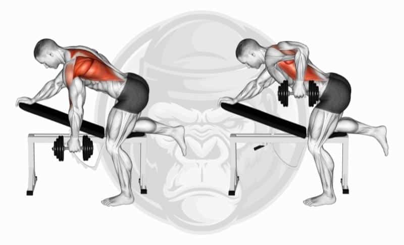 Meilleurs exercices pour le dos - Flexion des haltères à un bras