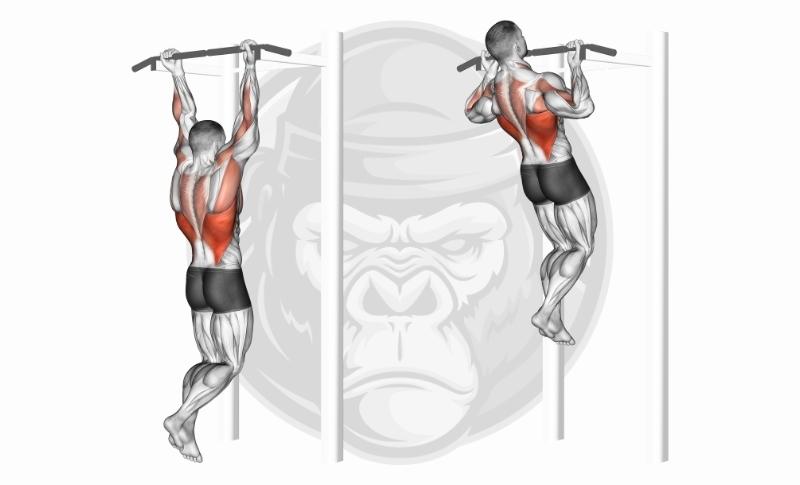 Meilleurs exercices pour le dos - Flexion des jambes