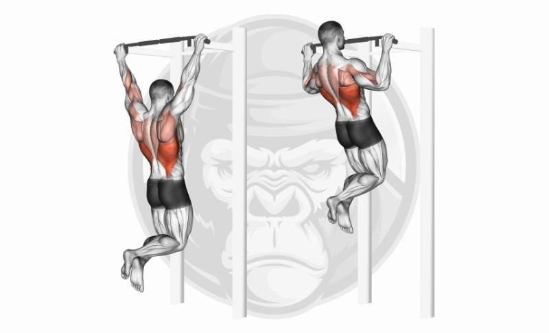 Meilleurs exercices pour le dos - Pull-Ups
