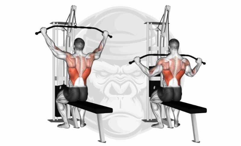 Meilleurs exercices pour le dos - Lat Pull-Downs