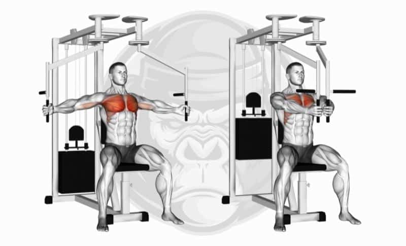 Meilleurs exercices pour les pectoraux - Extension des pectoraux