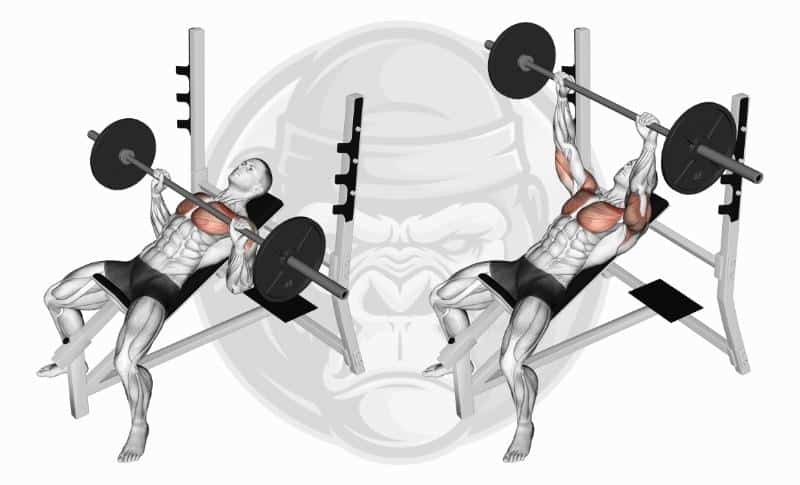Meilleurs exercices pour les pectoraux - Développé couché incliné avec haltères