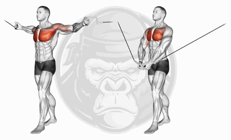 Meilleurs exercices pour les pectoraux - Croisé de câbles