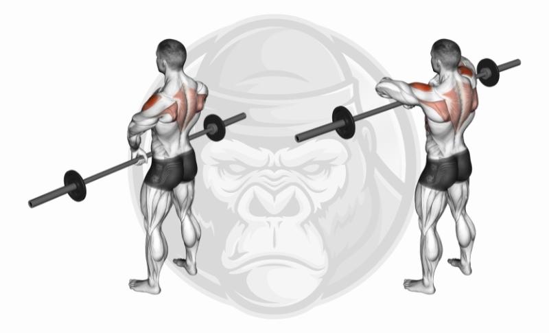 Meilleurs exercices pour les épaules - Flexion verticale