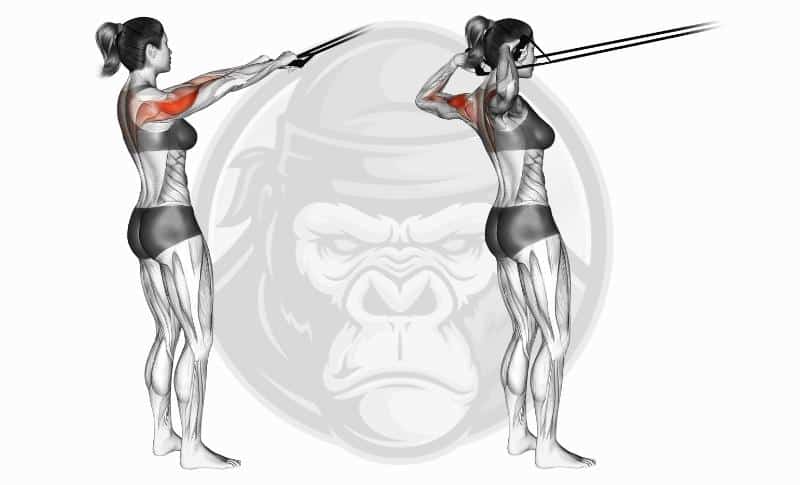 Meilleurs exercices pour les épaules - Tractions faciales