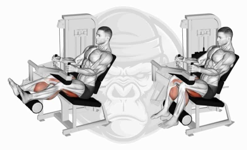 Meilleurs exercices pour les jambes - Flexion des jambes