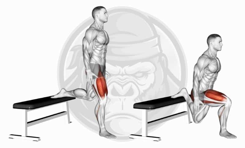 Meilleurs exercices pour les jambes - Squats fendus bulgares