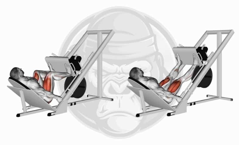 Meilleurs exercices pour les jambes - Presse à jambes