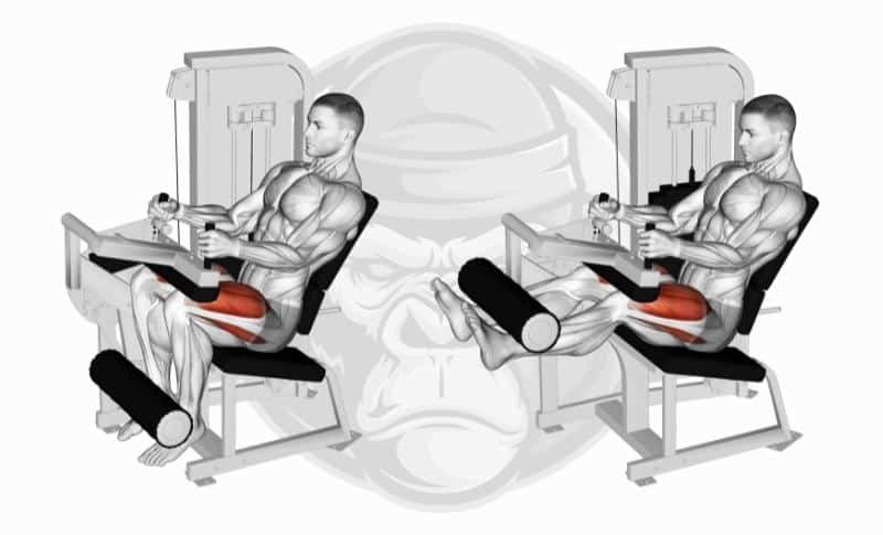 Meilleurs exercices pour les jambes - Extension des jambes