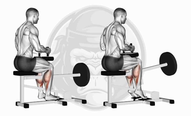 Meilleurs exercices pour les jambes - Relevés de mollets assis