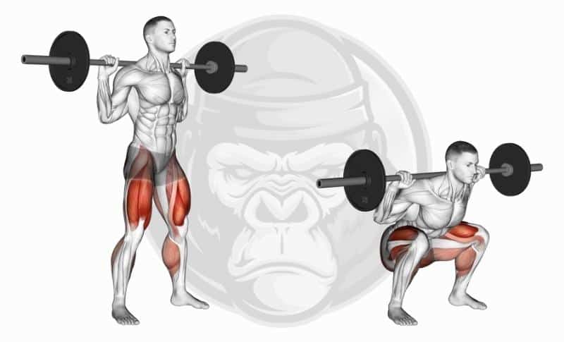 Meilleurs exercices pour les jambes - Squats arrière avec haltères