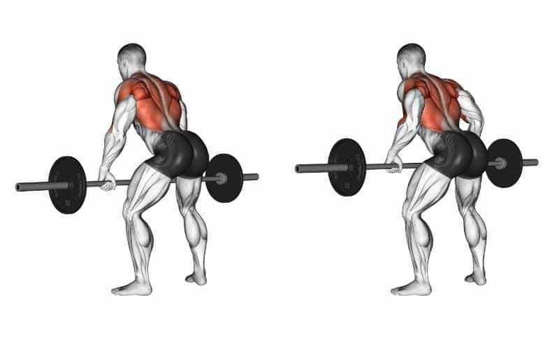 Les meilleurs exercices pour les trapèzes - Flexion des haltères