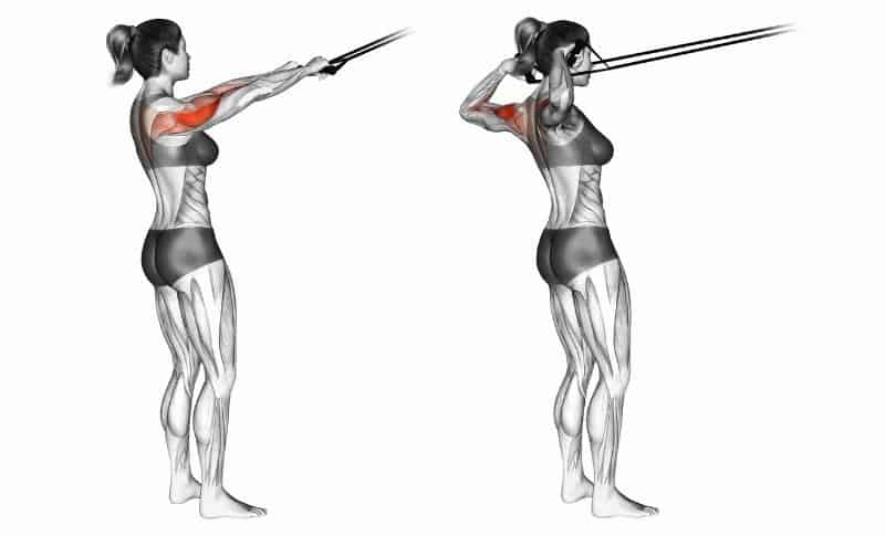 Les meilleurs exercices de trapèze - Tractions faciales
