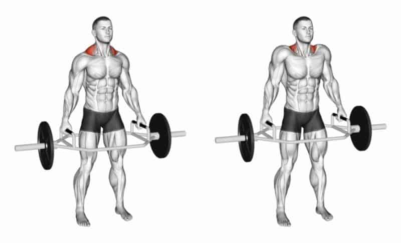 Les meilleurs exercices pour les trapèzes - Trap Bar Shrugs