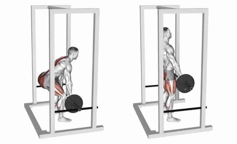 Les meilleurs exercices pour le bas du dos - Rack Pulls