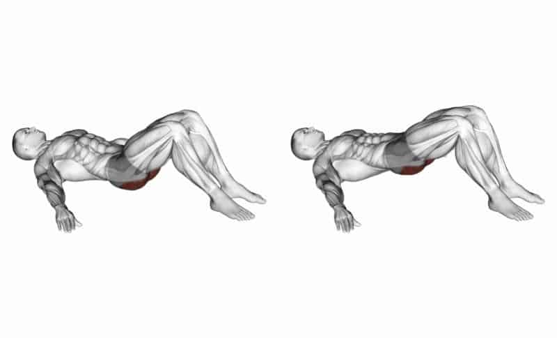 Meilleurs exercices pour les ischio-jambiers - Ponts fessiers